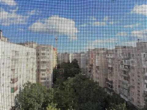квартира за адресою Святослава Ріхтера вул. (Щорса), 146