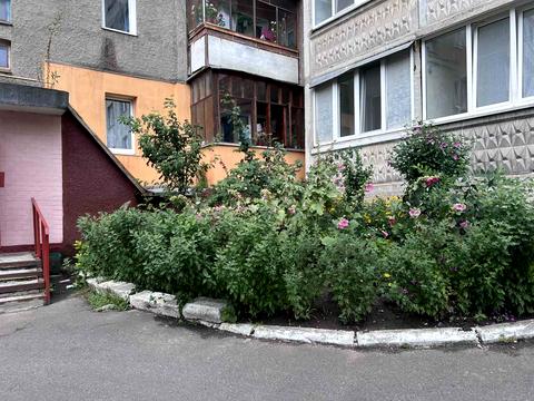 квартира по адресу Прибузька ул., 20