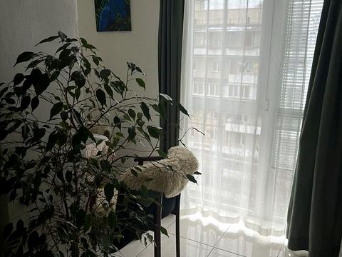 квартира за адресою Євгена Коновальця вул. (Щорса), 15 к1