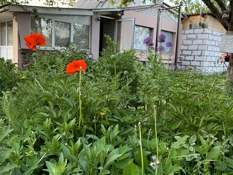 будинок за адресою 3 квіткова, 5