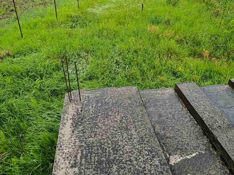 участок по адресу Центральна