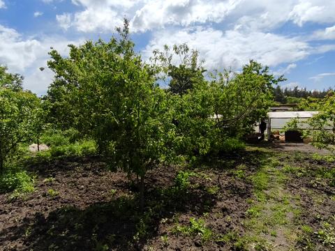 дом по адресу с. Терновая, Чугуївська