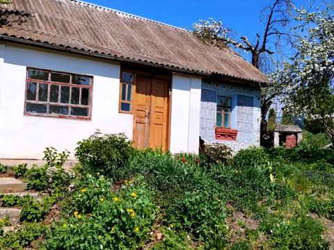 квартира по адресу Василя Зеньковського ул., 31