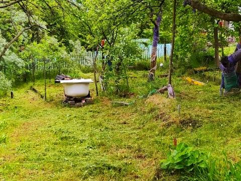 дом по адресу п. Водяное, Подорожник