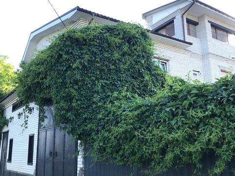 будинок за адресою Нечуя-Левицького вул., 12А
