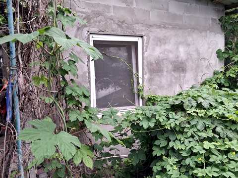 дом по адресу Мінська, 22