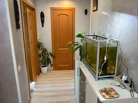 квартира за адресою Миру вул., 1/109