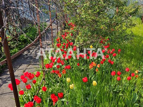 ділянка за адресою Одеса, Амбулаторний пров.