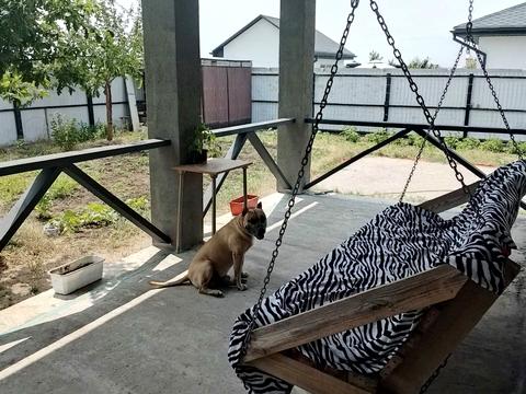 будинок за адресою Петропавловская