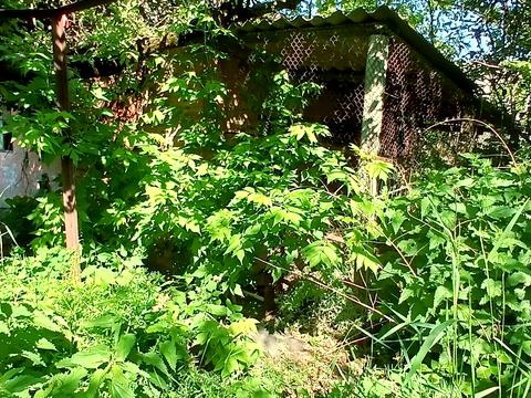 дом по адресу Ивана Сирко ул. (Повстання Броненосця Потьомкін), 9