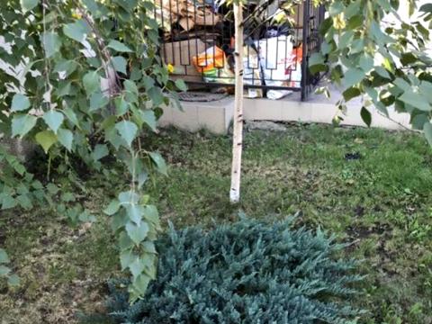 будинок за адресою Кордонна вул.