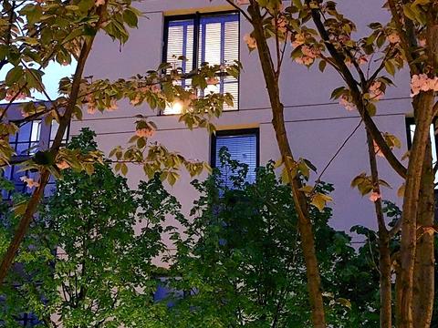 квартира за адресою Салютна вул., 2к8