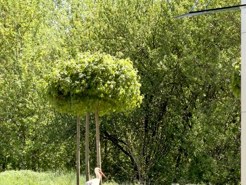 квартира по адресу  ул., 1