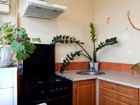 квартира за адресою Наберіжна, 38