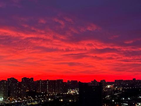 квартира по адресу Михаила Бойчука ул. (Киквидзе), 41-Б