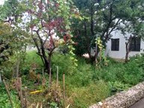 будинок за адресою Китобійна вул.