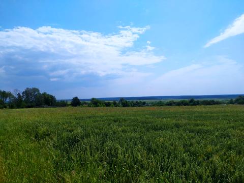 будинок за адресою с. Литвинівка, Леніна