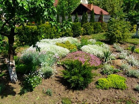будинок за адресою Лесі Українки вул., 71