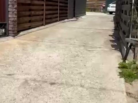 будинок за адресою Миколи Вінграновського вул. (Пушкіна)