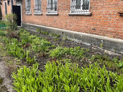 квартира по адресу Новорічна ул., 1