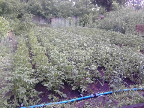 дом по адресу Борова, 11