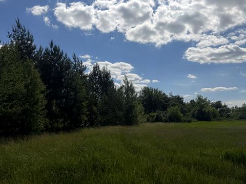 ділянка за адресою Лісова, 1