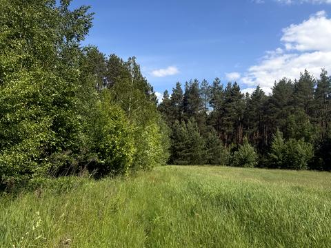 ділянка за адресою Лісова, 1