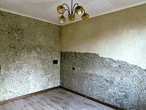 квартира по адресу Петра Болбочана ул. (Командарма Каменєва), 4-А