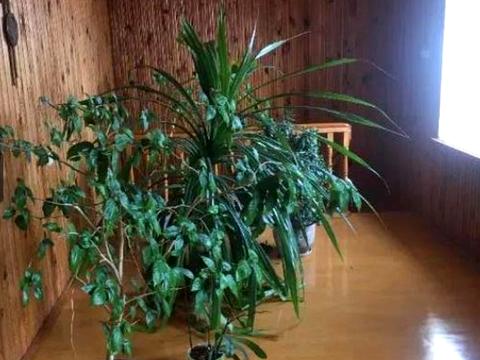 будинок за адресою с. Фонтанка, Соборна вул.