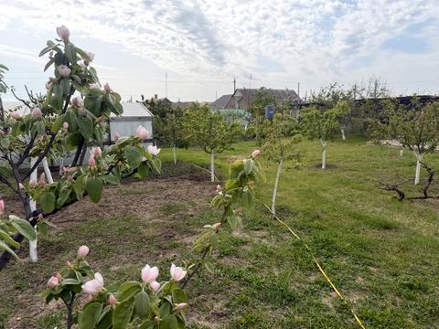 дом по адресу курортна, 2