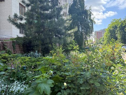 квартира за адресою Тіниста вул., 15