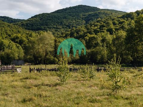 будинок за адресою с. Шешори, шевченка