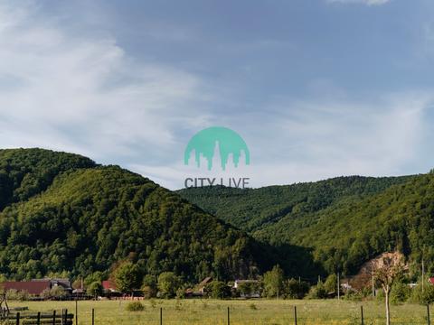 будинок за адресою с. Шешори, шевченка