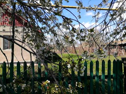 дом по адресу Хмельницького