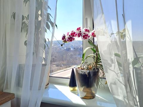 квартира за адресою Борова вул., 47