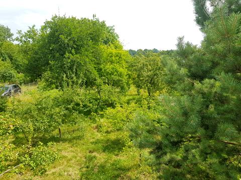 участок по адресу  Прошова, Квітуча, 75