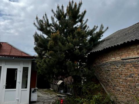 дом по адресу Юрия Краснокутского ул.