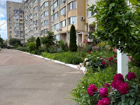 квартира за адресою Мальовнича вул. (Скворцова), 4а