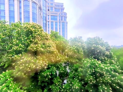 квартира по адресу Січневого Повстання, 11а