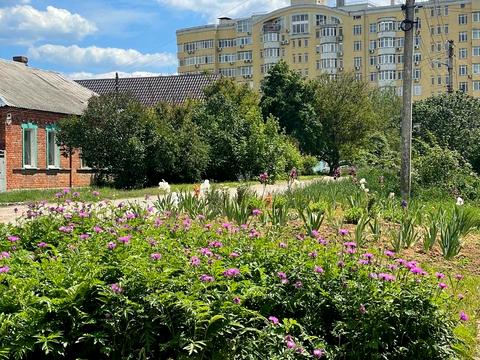 дом по адресу Петра Болбочана ул. (Клапцова), 79