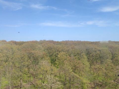 квартира за адресою Хмельницький, Лісогринівецька вул., 16