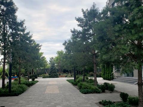 квартира по адресу Камянская ул. (Дніпродзержинська), 6