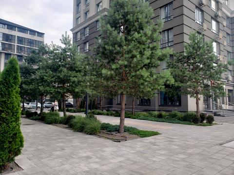квартира по адресу Камянская ул. (Дніпродзержинська), 6