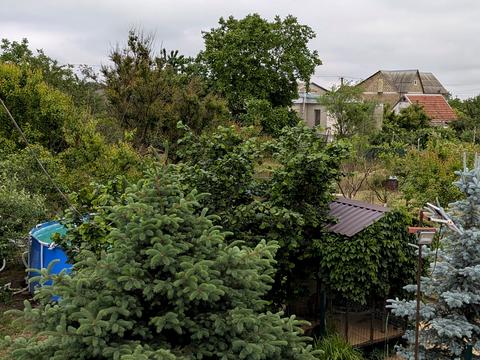 дом по адресу Смородинова