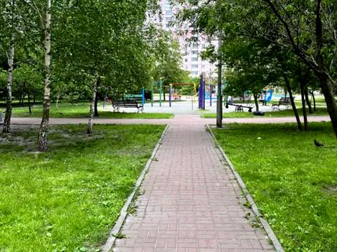 квартира за адресою Олени Пчілки вул., 2