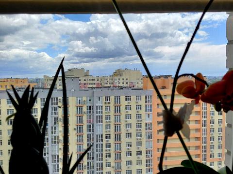 квартира за адресою Петра Калнишевського вул. (Михайла Майорова), 7