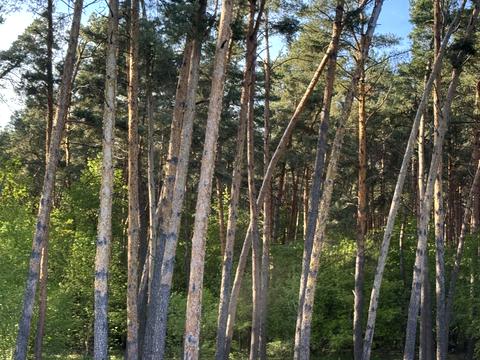 дом по адресу Заводская ул.