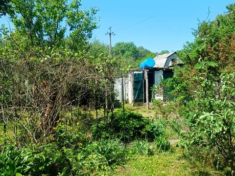 дом по адресу Мира просп., 308Б