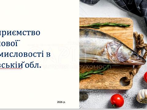 комерційна за адресою с. Літки, київська, 1