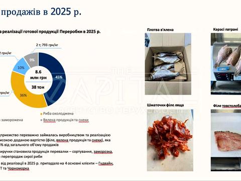 комерційна за адресою с. Літки, київська, 1
